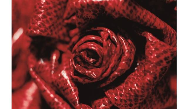 「Self-image」2013 © mika ninagawa, Courtesy of Tomio Koyama Gallery