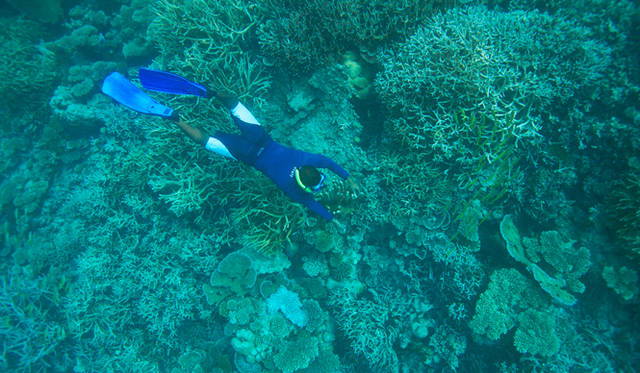 「体内時間をリゾートモードに切り替える」という意味で、もうひとつおすすめなのがシュノーケリングだ。1回分（60分）のレッスンは宿泊料に含まれている