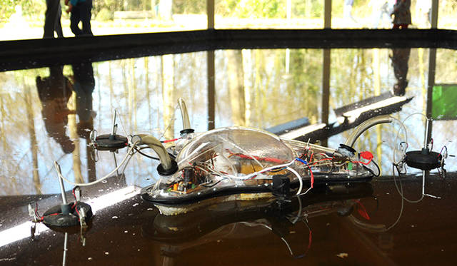 アート部門 新人賞：<br/>『Symbiotic Machine』<br/>イヴァン・ヘンリケス<br/>Image: Lyndsey Housden© Ivan Henriques