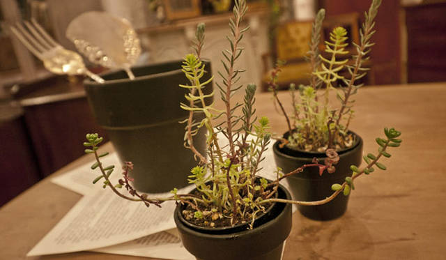 インテリアショップ「the CONTAINER」