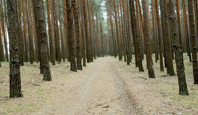 『不正義の果て』© 2013 SYNECDOCHE - LE PACTE - DOR FILM - FRANCE 3 CINÉMA - LES FILMS ALEPH