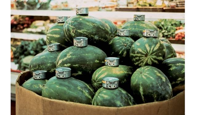 ガブリエル・オロスコ《猫とスイカ》1992年 タイプＣプリント　