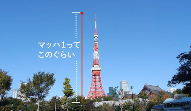 「速さの比較」展覧会企画チーム（Image：菅 俊一）　速度の樹一帯を映像で表現