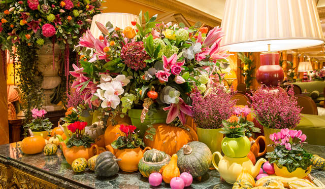 The Dorchester｜ザ・ドーチェスター