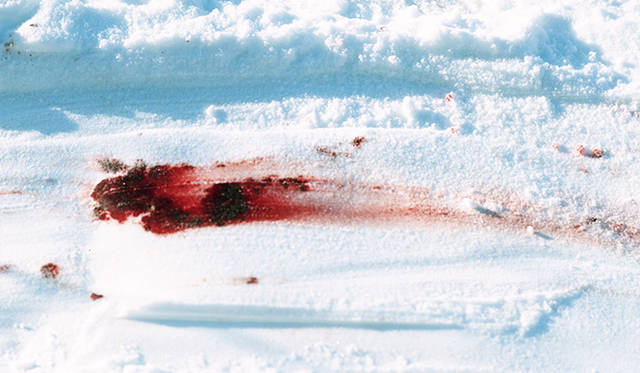 ホンマタカシ『Trails』2010より　［参考図版］