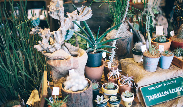 <br /><strong>1. THE DECK COFFEE＆PIE（千駄ヶ谷）</strong><br /><br />店内には、家具やリネン、スキンケアから観葉植物まで、“旅商人”が買い集めた1点ものアイテムが並ぶ<br /><br />＜焙煎士＞<br />宮下敦｜MIYASHITA Atsushi<br />2008年、奈良「Bar Cauda（バールカウダ）」にて、代表・バリスタ杉坂氏に師事。2013年、SCAJ認定コーヒーマイスター取得。2014年、「THE DECK COFFEE＆PIE」にて焙煎士（バリスタ）として着任。<br /><br />＜焙煎機のある店＞<br />THE DECK COFFEE＆PIE<br />営業時間｜平日 10:00～20:00、土曜・日曜・祝日 11:00～19:00<br />定休日｜不定<br />住所｜東京都渋谷区千駄ヶ谷3-53-17 1F Free Peddler Market内<br />Tel. 03-3478-6855<br />http://fpm.bz/<br /><br />＜編集メモ＞<br />・常時おいている珈琲豆 8種類<br />・珈琲豆の価格帯 670円～820円／100グラム<br />・店内での試飲 不可（飲食メニューあり）<br />