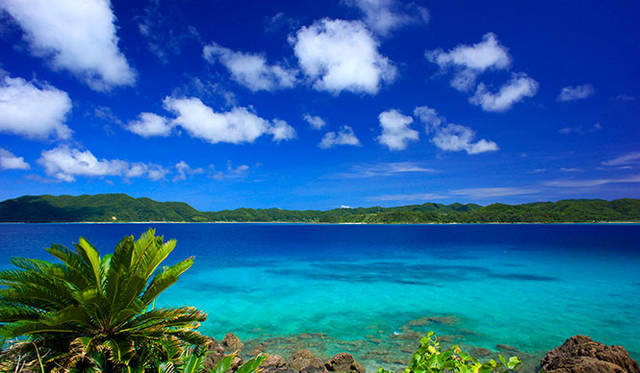 空も海も真っ青な奄美群島（バーグマン氏撮影の写真ではありません）