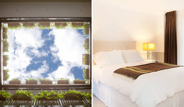 5. 「ザ・ブルーム」（ソーホー）