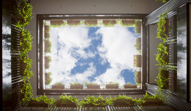 5. 「ザ・ブルーム」（ソーホー）