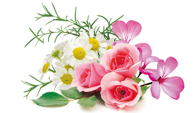 有機ダマスクローズや有機ゼラニウムを基調とした気持ちを和らげる香り