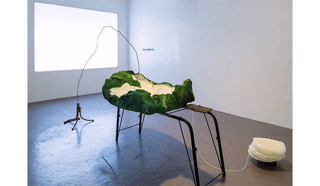 土屋信子 Ace of heart vol.7　展覧会風景 2013年 小豆島・観音寺（瀬戸内国際芸術祭関連企画） 写真撮影：増田好郎　SCAI THE BATHHOUSE