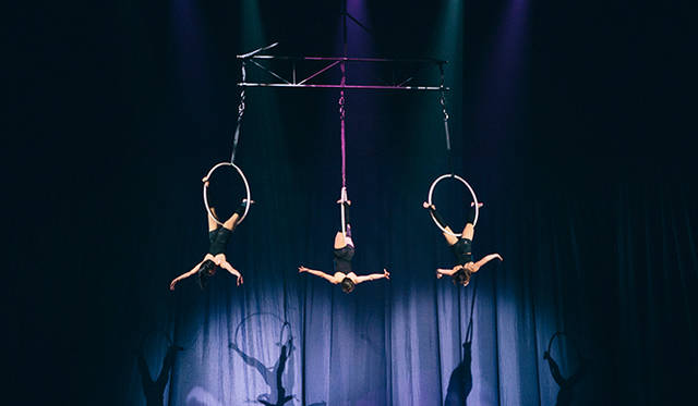 観客の頭上で、アクロバットダンスも披露された