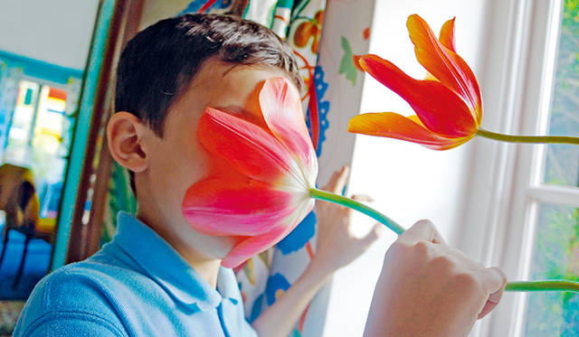 Pipilotti Rist, Gigantic Pear Log, 2014.video installation. Courtesy the artist,Luhring Augustine NY and Hauser&Wirth