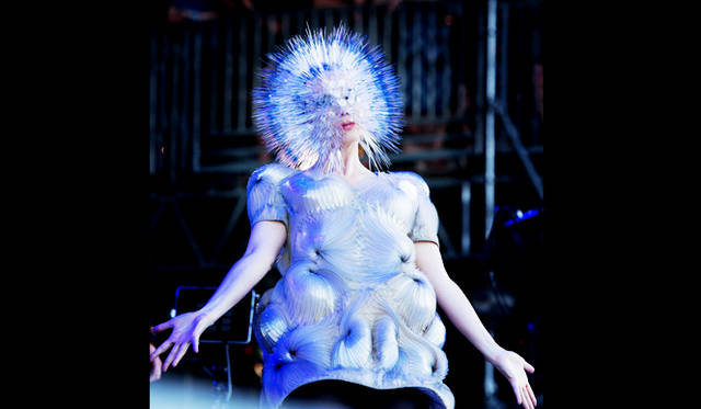 Björk. Credit: Photograph by Danny Clinch