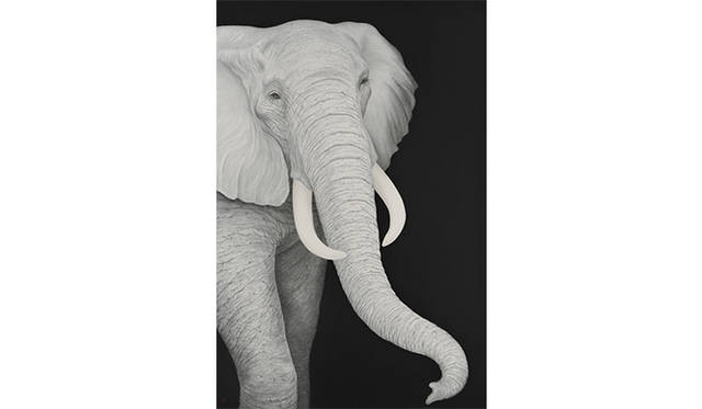 絹谷香菜子 旅に出るものたち -Elephant- 2014 新生堂