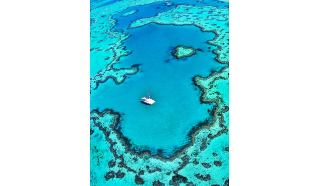 <br>カップルで見ると幸せになるというハートリーフ。意外に小さいので見つけたらラッキー © All rights reserved 