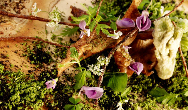 2位「ナリサワ（NARISAWA）」