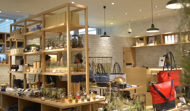 <strong>THE COMMON TEMPO｜ザ コモン テンポ</strong><br />ルクア イーレ店の内観