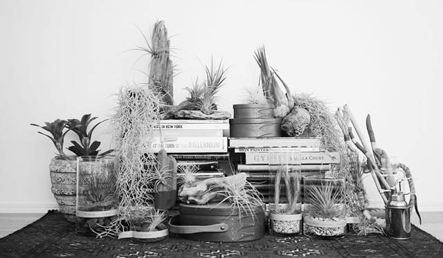 <strong>THE COMMON TEMPO｜ザ コモン テンポ</strong><br />多肉系やエアプランツが中心のボタニカルブランド「The Landscapers（ランドスケーパーズ）」