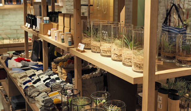 <strong>THE COMMON TEMPO｜ザ コモン テンポ</strong><br />ルクア イーレ店の内観