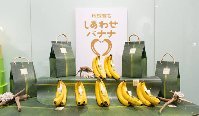 <strong>unifrutti｜ユニフルーティー</strong><br />「地球育ち しあわせバナナ®」<br />バナナは、赤道を中心に北緯30度から南緯30度の、年間を通して高温多湿な熱帯地域で栽培されている。