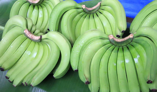 <strong>unifrutti｜ユニフルーティー</strong><br />「地球育ち しあわせバナナ®」<br />果皮が緑色の状態で収穫されたバナナは、その十分に蓄積されたデンプン質をゆっくりと分解し、熟成・糖化させることで甘みが出る。