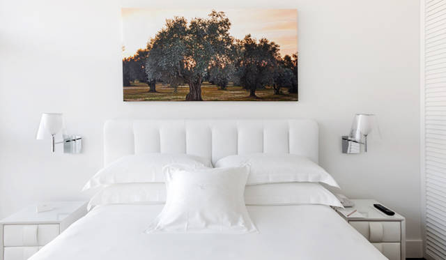 1. 「マグナ・パーズ・スイート」（ナヴィリオ）