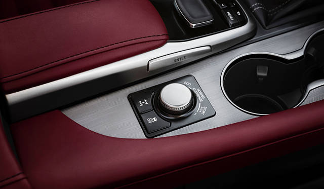 21_Lexus_RX