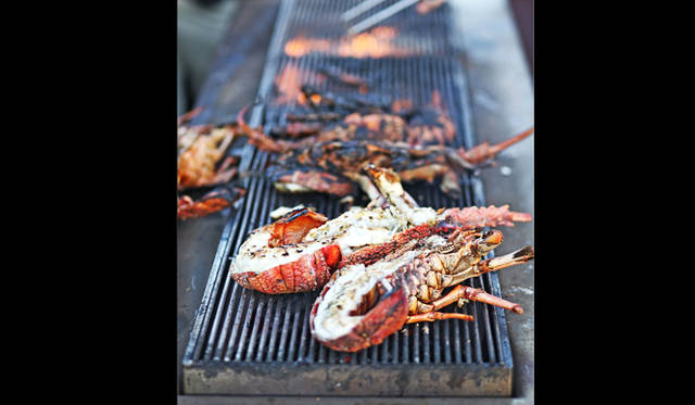 <br />ハイライトのディナーの前菜は海上のポンツーンで。豪快なロックロブスターのグリル