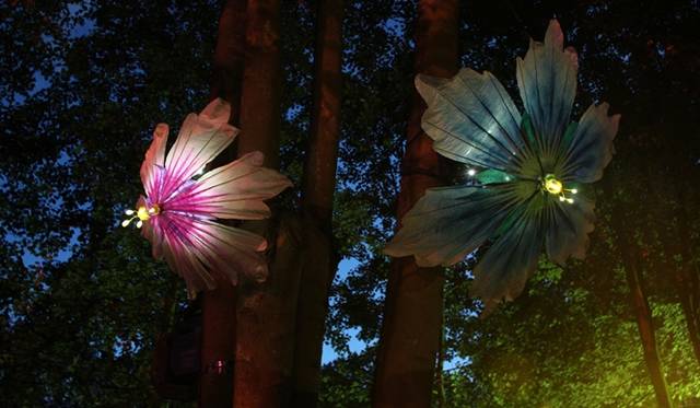 『Bloom』Photo：Marleen Maathuis