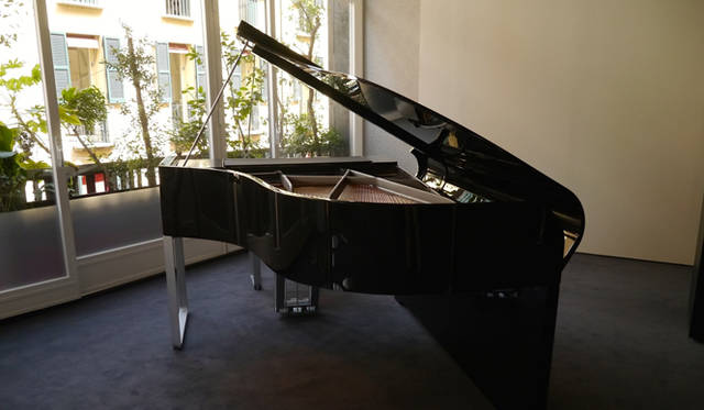 2009年にオーストリアのべーゼンドルファーが発表したアウディモデルは内部構造も美しい