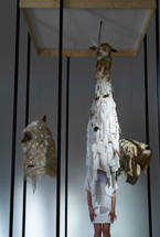 イルカとヘビとキリンは外の世界をどう見ているか、デジタルデバイスを用いてあたらしい知覚を体験させてくれる「アニマルマスク」