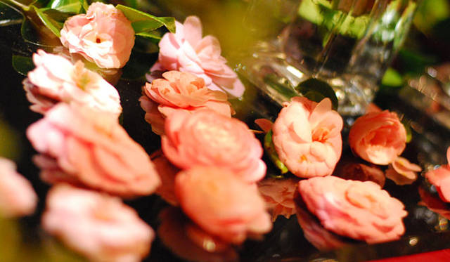 <strong>FLORALUXE｜フローラリュクス</strong><br />2015 Spring Flower ＆ Mother’s Day「スプリングフラワーデザインと母の日」