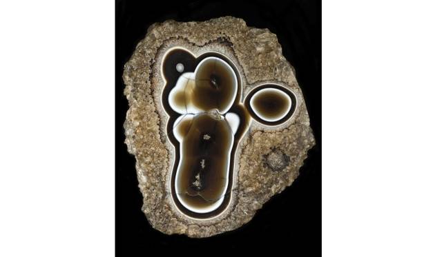 『ラゲーン』瑪瑙 18×14×0.5cm フランス国立自然史博物館蔵 　ロジェ・カイヨワ・ストーン・コレクションより  ©Muséum national d'Histoire naturelle  Francois Farges