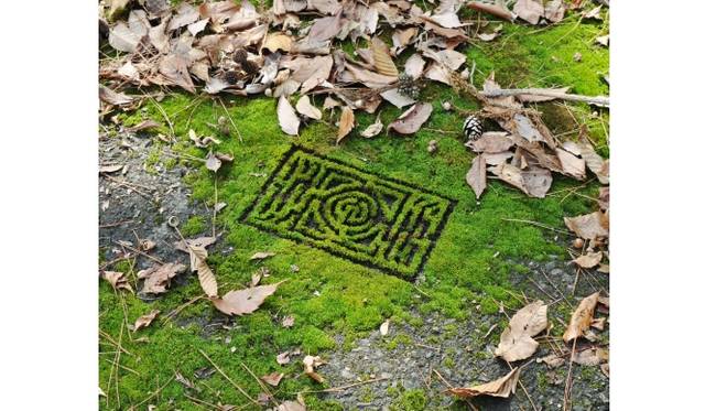 『庭園迷路』2009 タイプCプリント 26×34cm