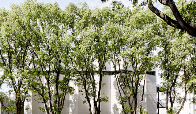 Photo credit: Davide Rovatti