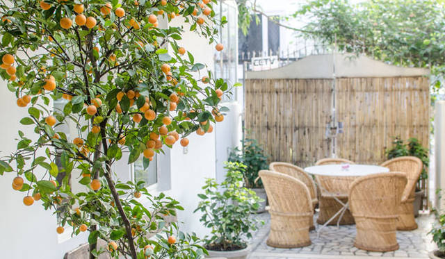 <strong>TRAVEL｜インド・サウスデリー</strong><br />ホテル「Scarlette New Delhi」