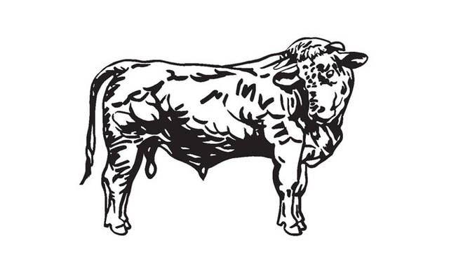 <strong>青山「ブノワ」</strong><br />開店10周年特別企画「J’aime la France（ジェーム・ラ・フランス）」<br>第2回目テーマ『ブルゴーニュ地方』　パリの東南部に位置し、言わずとしれたワインの聖地であり、美食の都。ブルゴーニュのシャロル発祥、最高品質の牛肉として世界的に認められているシャロレ牛、エスカルゴや黒スグリ（カシス）ほかを用意