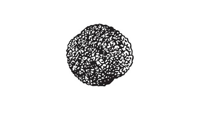 <strong>青山「ブノワ」</strong><br />開店10周年特別企画「J’aime la France（ジェーム・ラ・フランス）」<br>第4回目テーマ『プロヴァンス』　地中海の太陽がふりそそぐ南フランスはアラン・デュカスの料理の原点。腕利きの採掘者として名高いユーゴ・ドーマの黒トリュフ、エクサン・プロヴァンスのオリーブオイル、小麦の原種“スペルト小麦”、ハチミツなどを用意