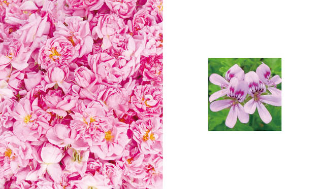 <strong>do organic｜ドゥーオーガニック</strong><br />洗顔料「ドゥーオーガニック ウォッシング ムース」　左／ダマスクローズ、右／カモミール