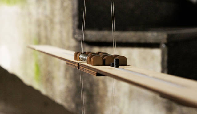 作品名「Diomedeidae」