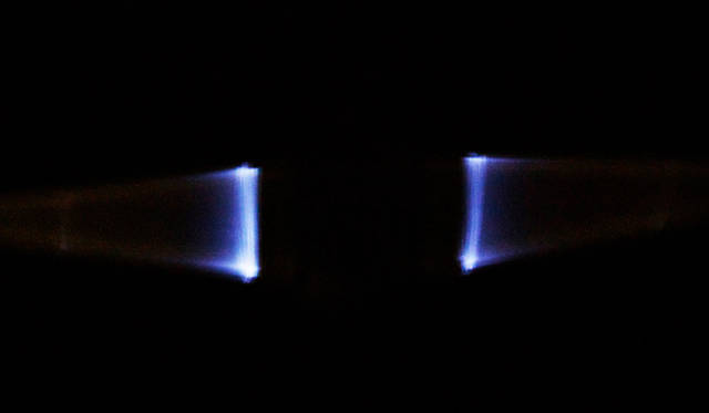 作品名「Diomedeidae」