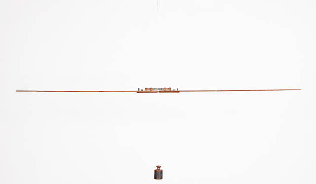 作品名「Diomedeidae」