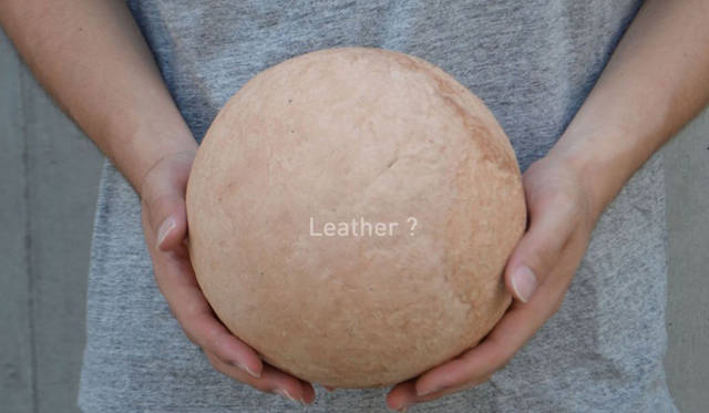 作品名「Leather?」