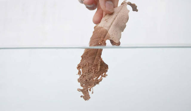 作品名「Leather?」