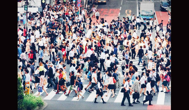 作品名「>crosswalk<」