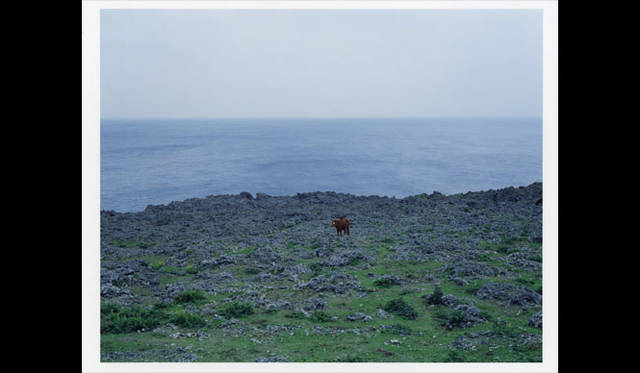 <strong>AXIS GALLERY｜アクシスギャラリー</strong><br />「AXIS PHOTO MARCHE 2（AXIS フォトマルシェ 2）」　ゼラチンシルバーセッション フォト アワード 優秀作品　池田裕一「風のはじまり」