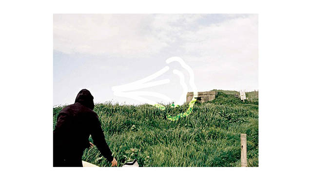 コレクションのイメージ画像。