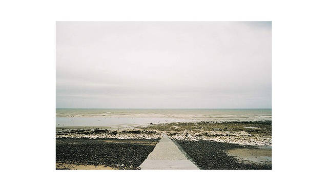 コレクションのイメージ画像。