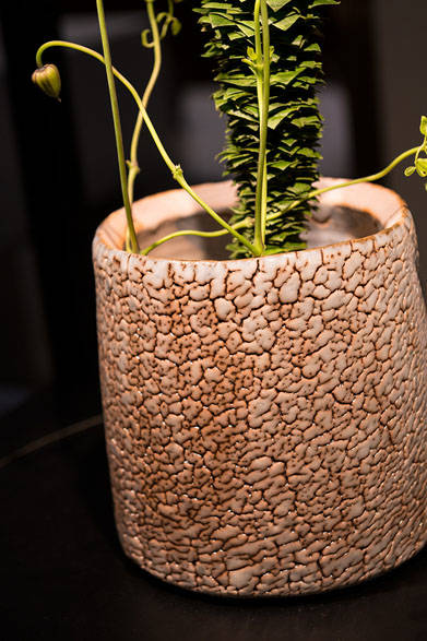 <strong>日本橋三越本店</strong><br />「第43回 伝統工芸陶芸部会展」　ニコライ・バーグマン賞　鼠志野水指 堀俊郎